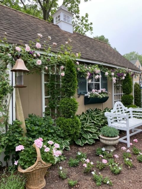 light pink flowers growing near home