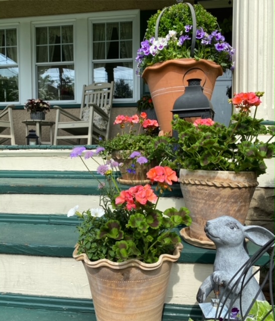 potted plants on porch steps