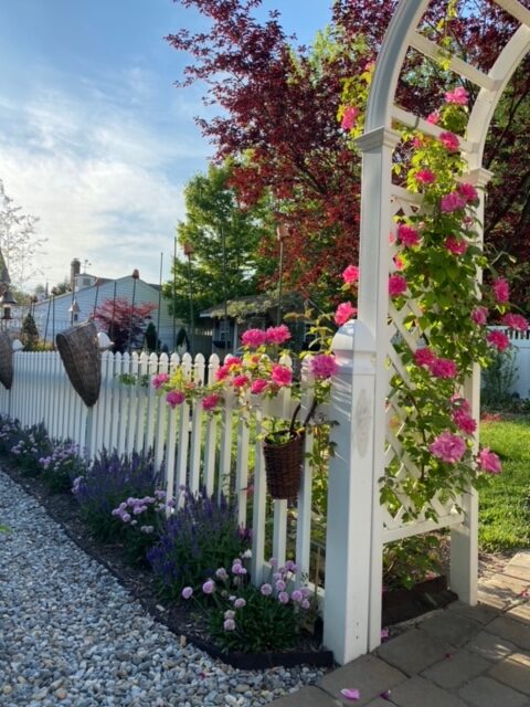 rose-covered arch