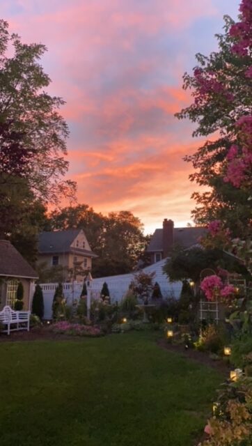 garden at sunset