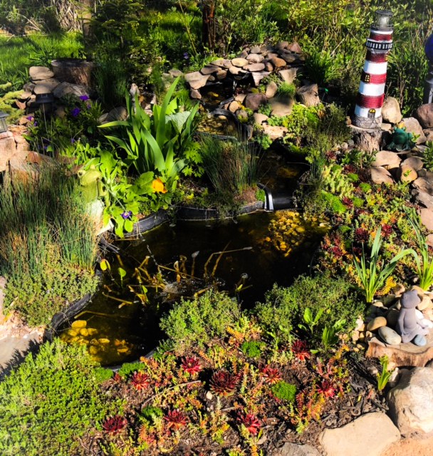 small garden pond with waterfalls surrounded by plants