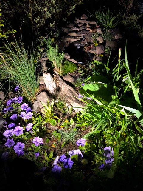 garden pond lit up at night