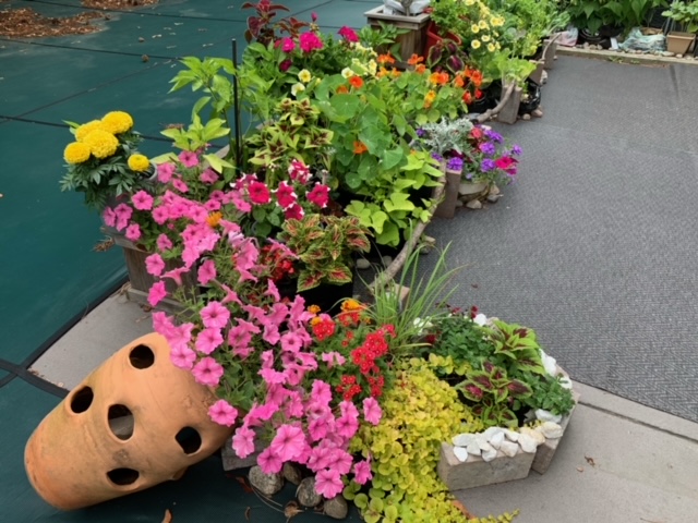 grouped container plantings look like garden bed