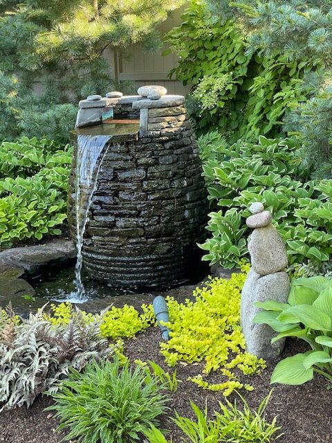 garden water feature surrounded by green plants