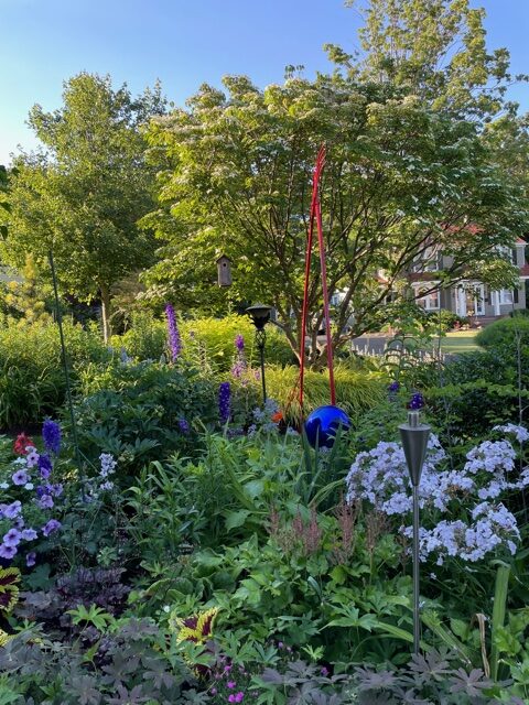 garden bed with summer blooms