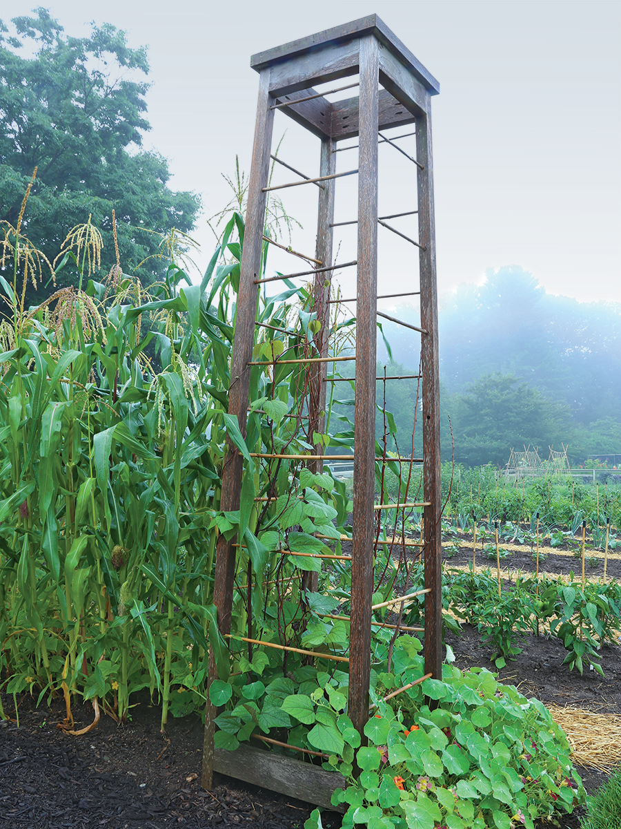 square trellis made out of wood