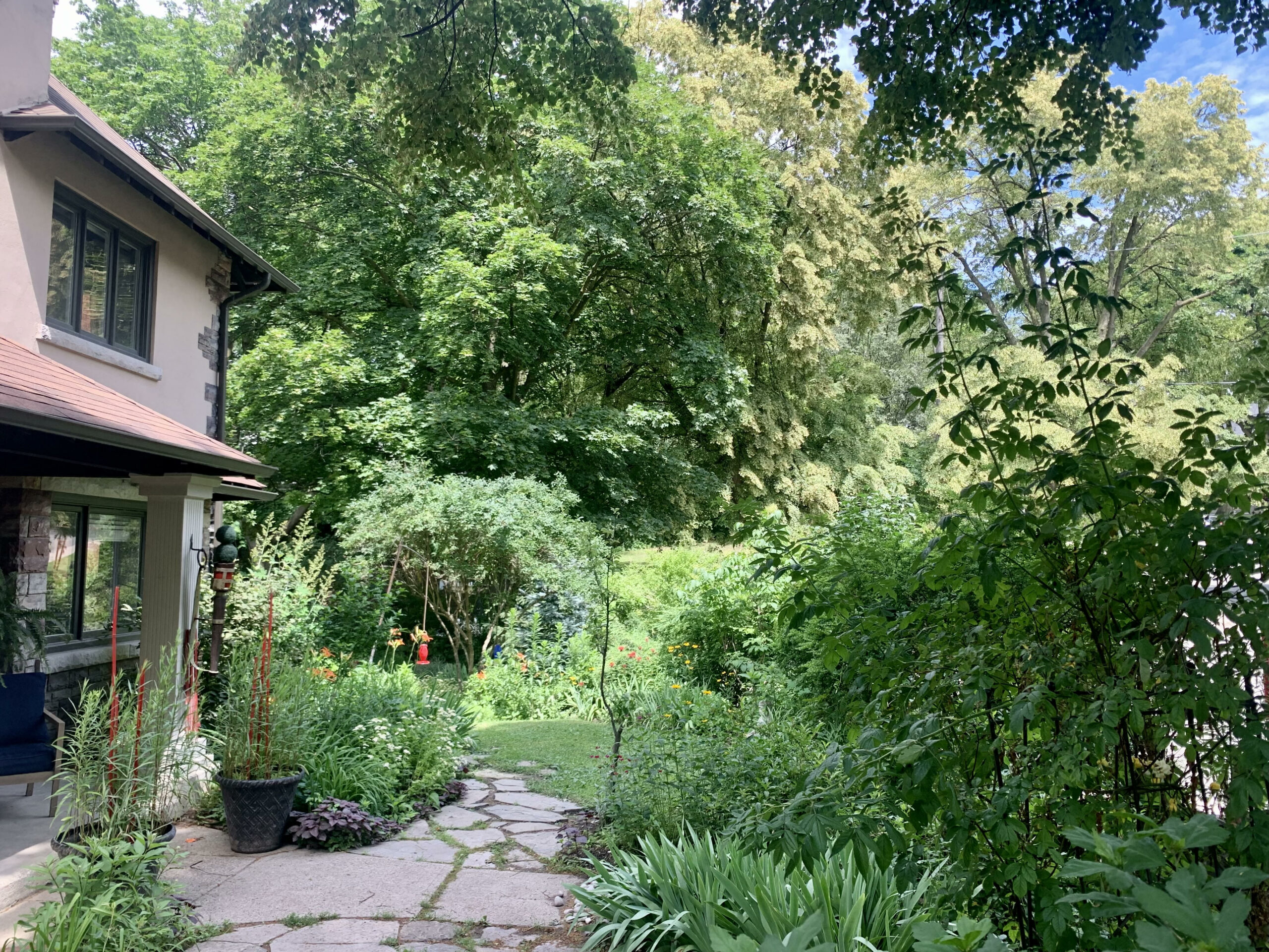 side garden full of greenery