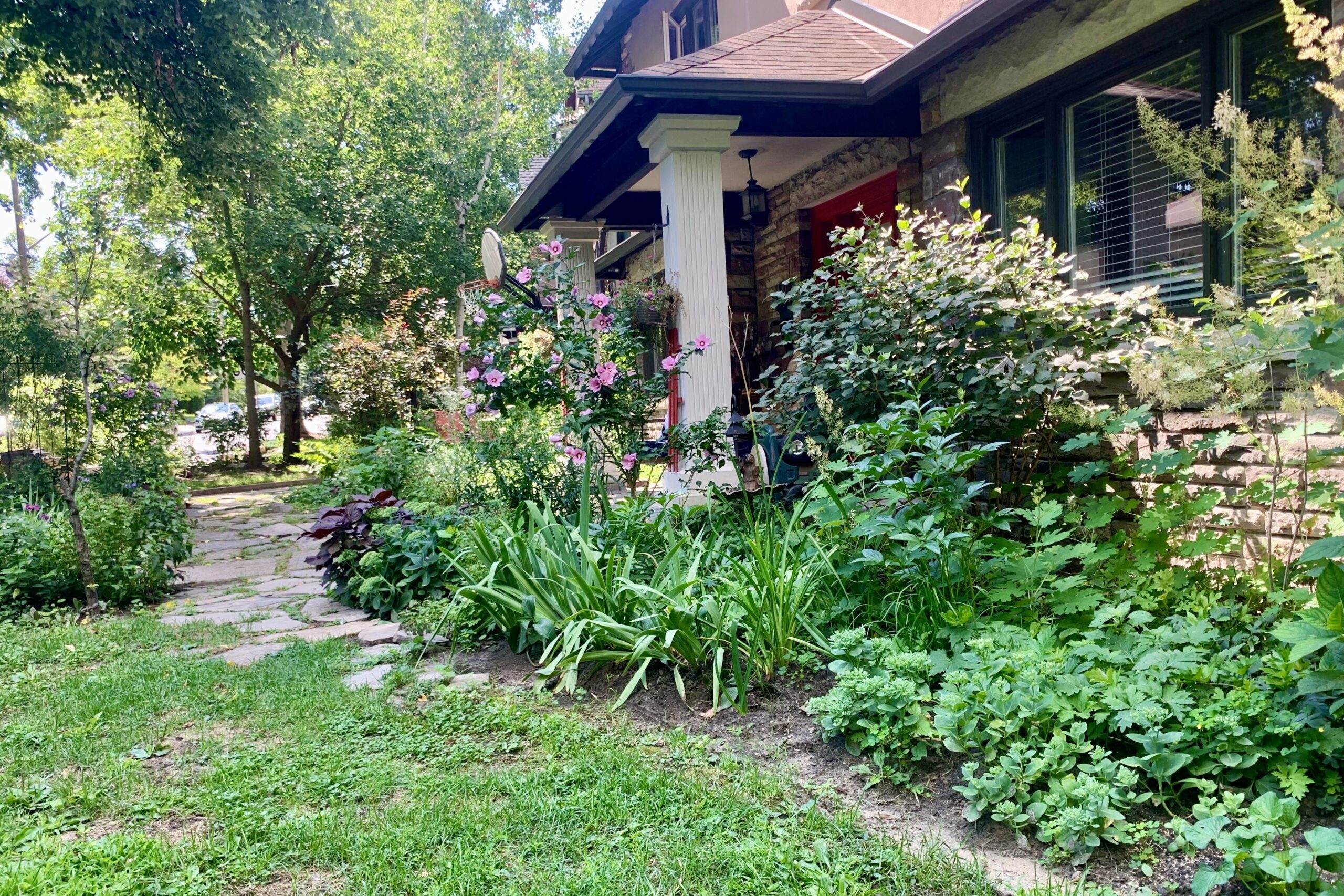 garden along the front of a home