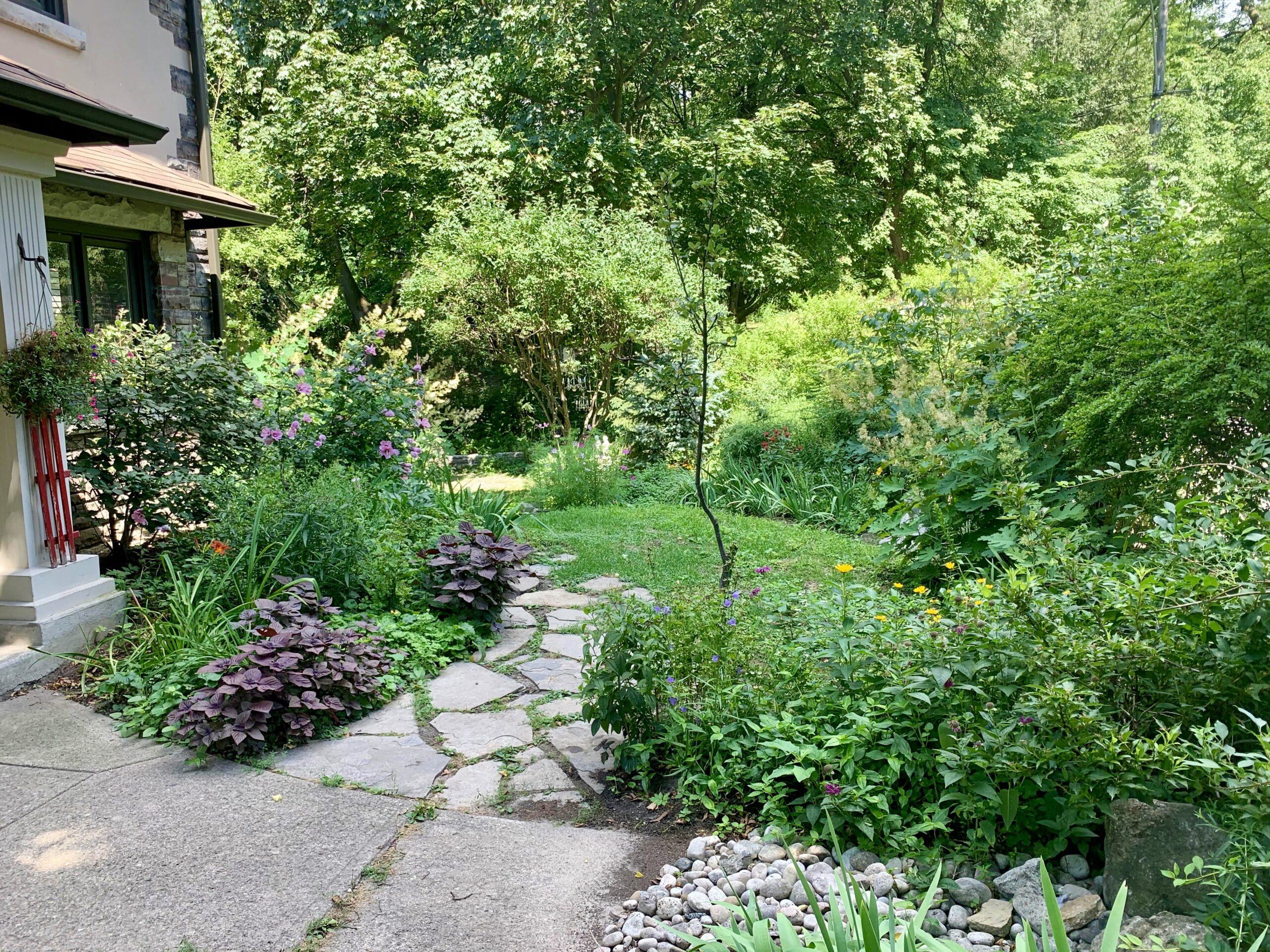 garden and path leading to side of home