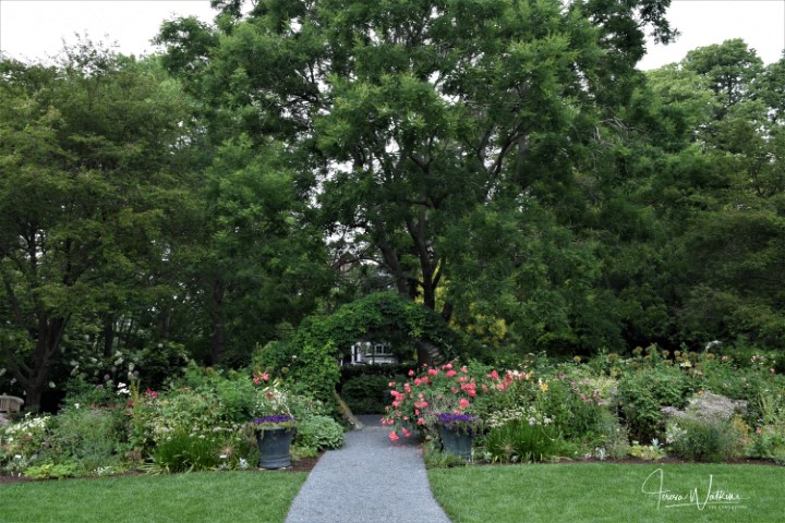 walkway flanked by two perennial borders