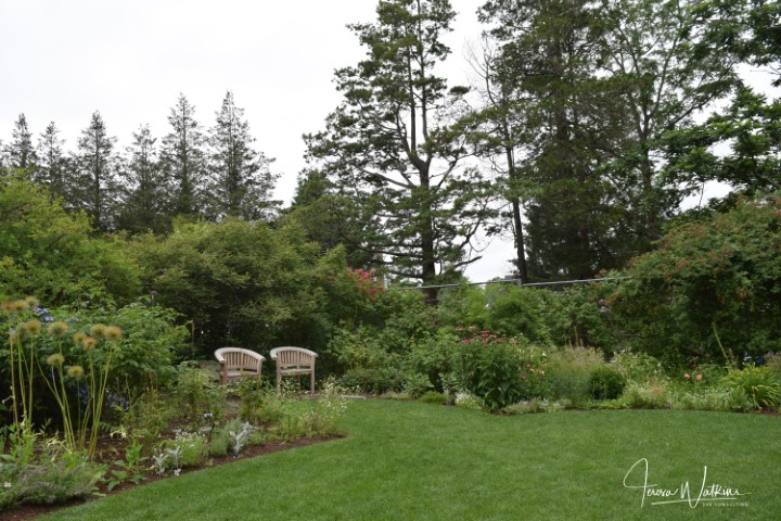 garden with two chairs tucked away in a corner