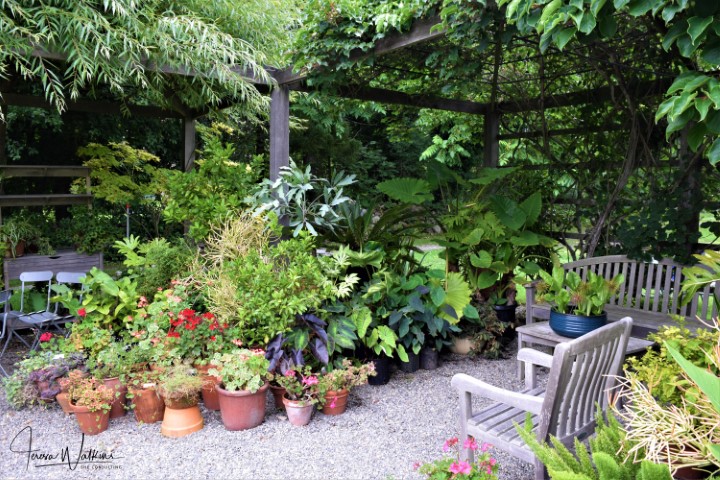 shady seating area surrounded by potted plants