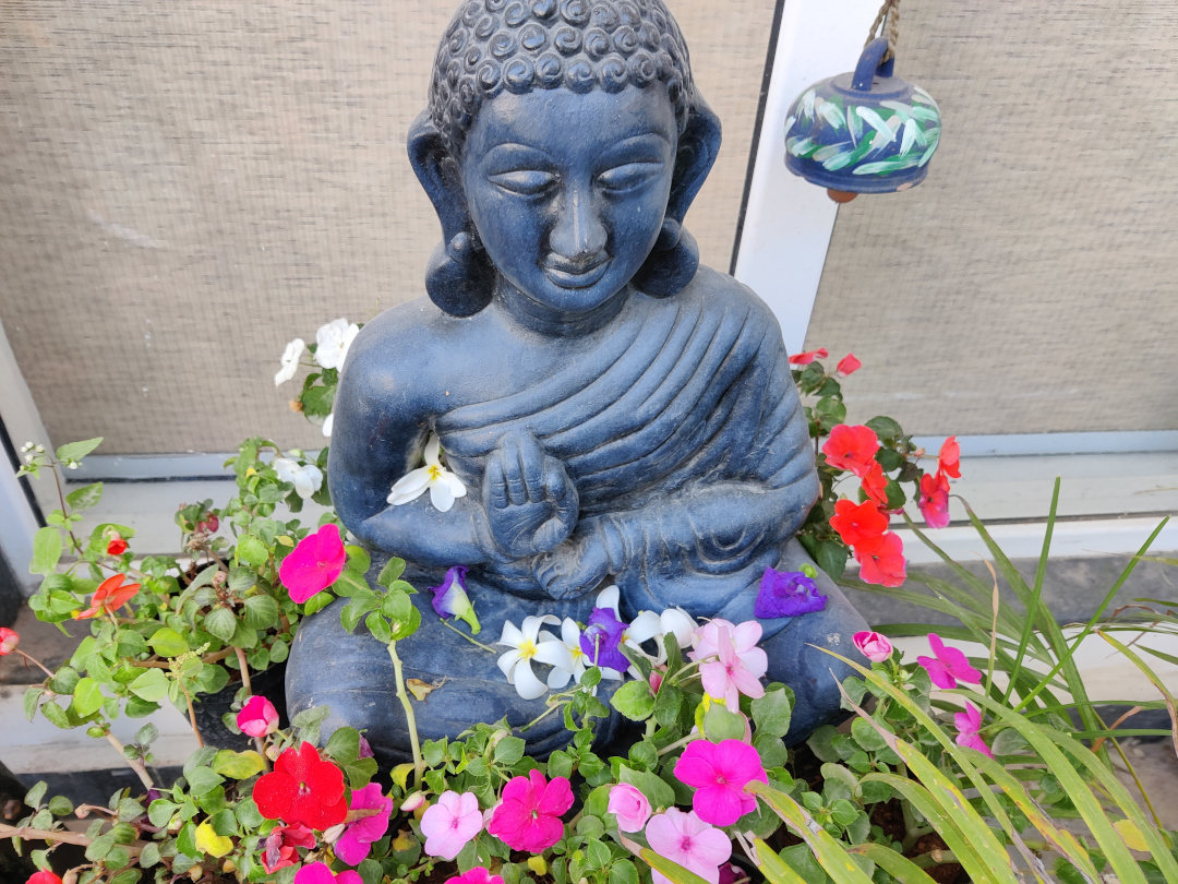 brightly colored flowers around a buddha statue