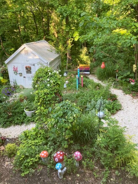 garden shed surrounded by plants