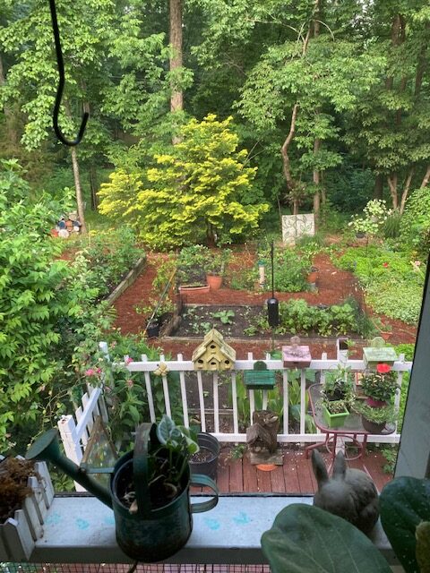 raised garden beds seen through upstairs window