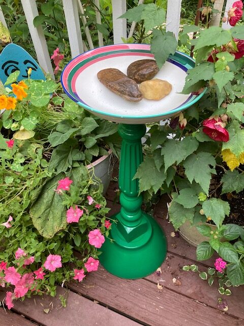 colorful bird bath surrounded by plants