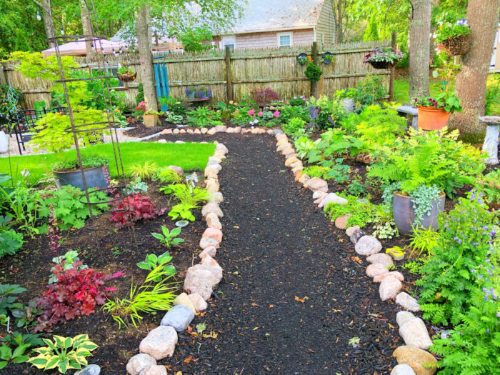 garden path with foliage plants on either side