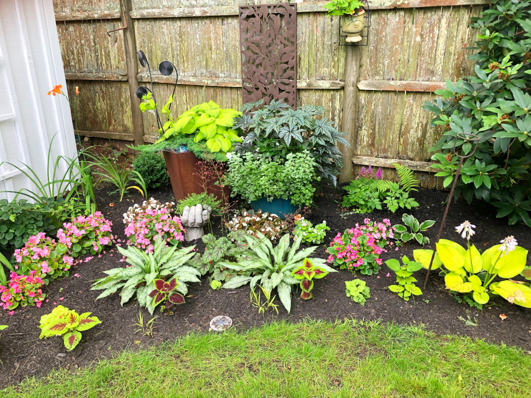 garden bed full of colorful shade plants