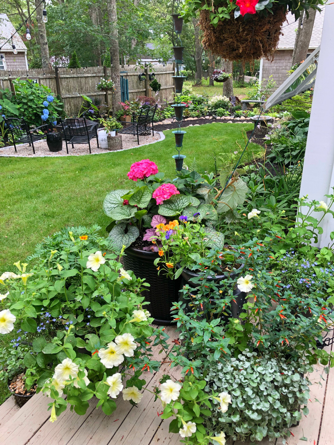 container plants in bloom on a deck