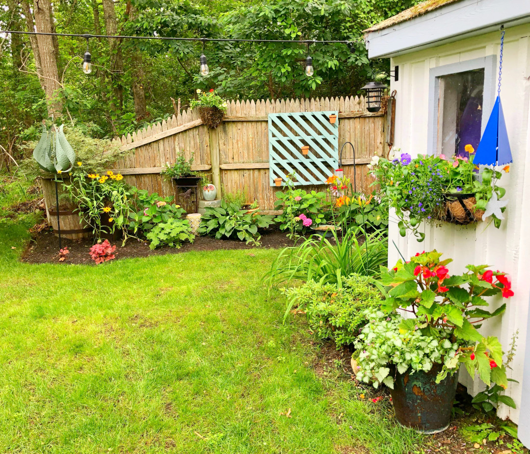 fence and home surrounded by plants