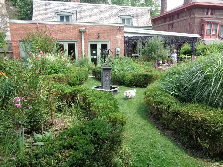 view from back of garden with gardner and dog