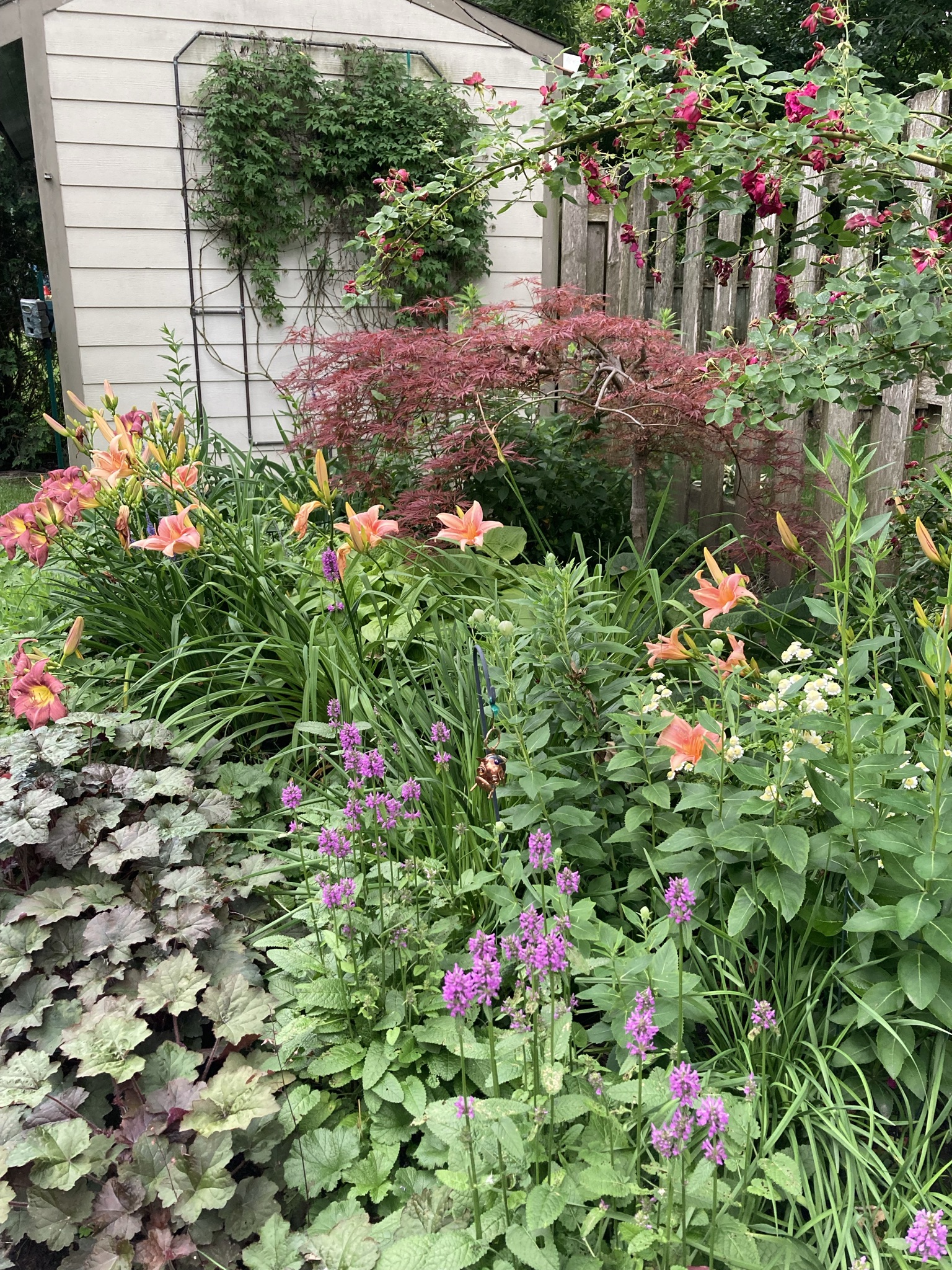 garden bed against a wooden fence