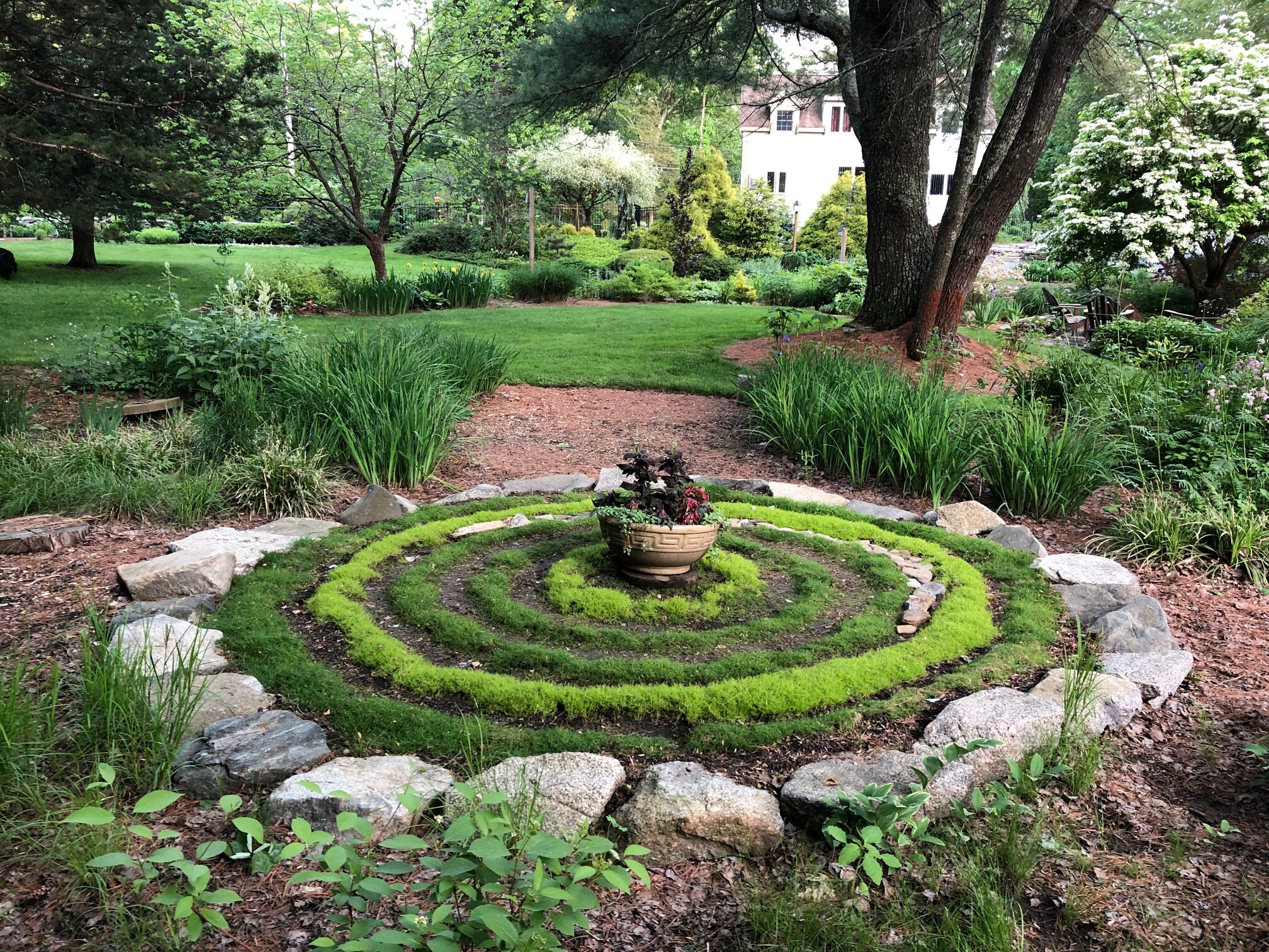 moss grown in rings with a container in the middle