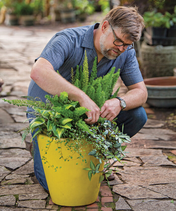 man trimming shade container