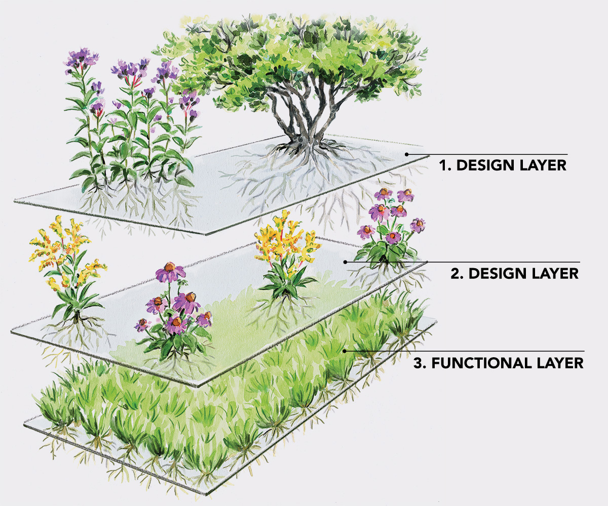 Layering Plants