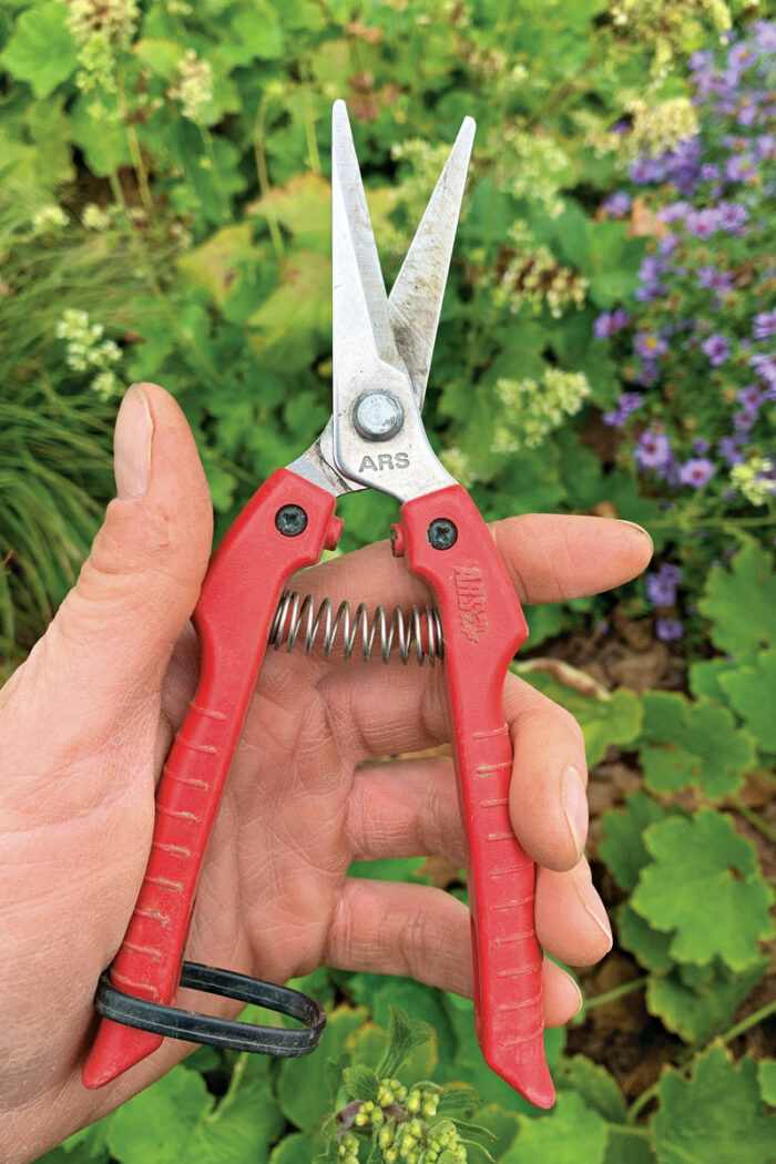 Battery-Powered Pruning Tools for Jobs Big and Small - FineGardening