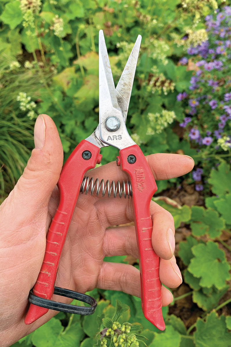 ARS SE45 Floral Shears