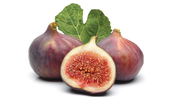 how to grow figs