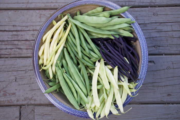 bowl of mixed string beans