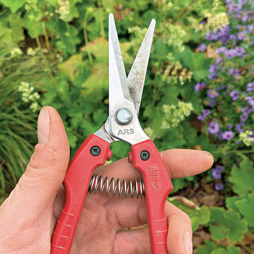 Battery-Powered Pruning Tools for Jobs Big and Small - FineGardening