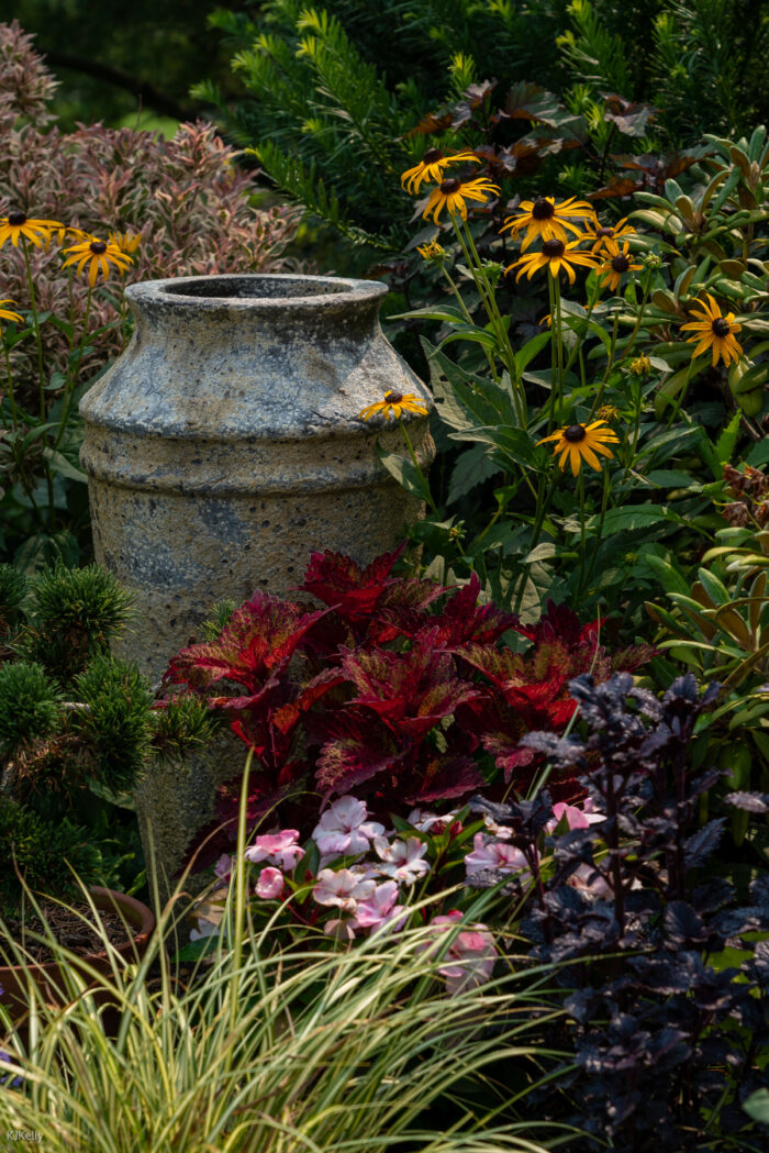 coneflowers and foliage plants next to large container