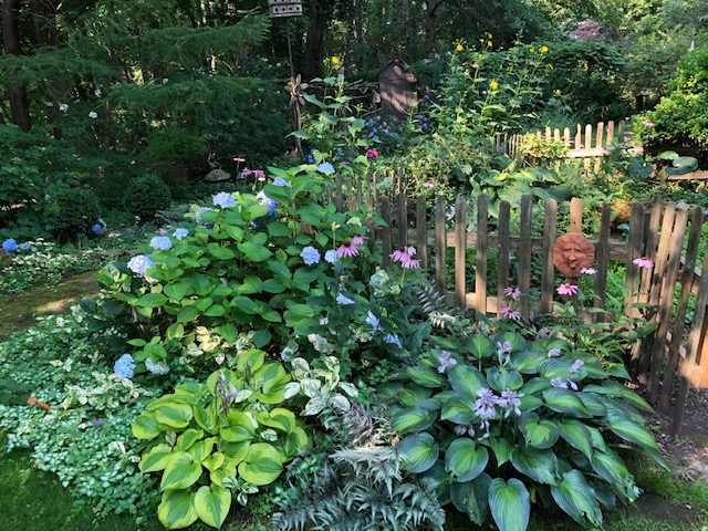 garden bed in front of fence