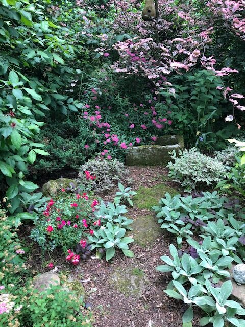 garden path full of pink flowers