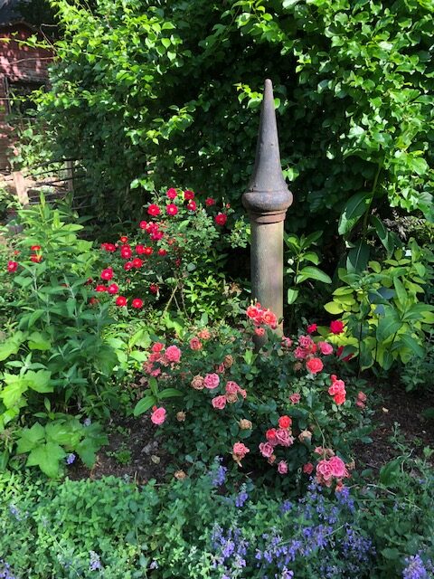 pink red and purple flowers