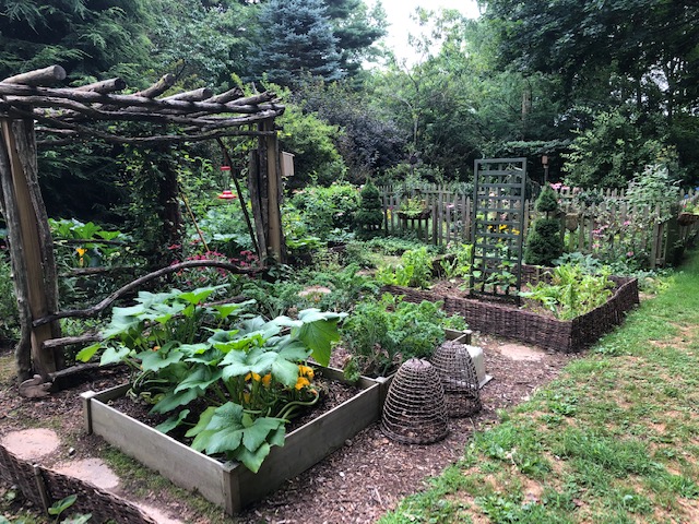 veggie garden with multiple raised beds