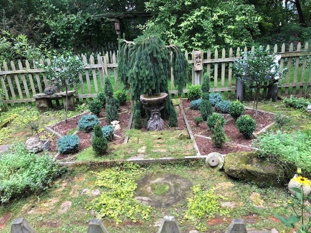 garden bed with lots of evergreens