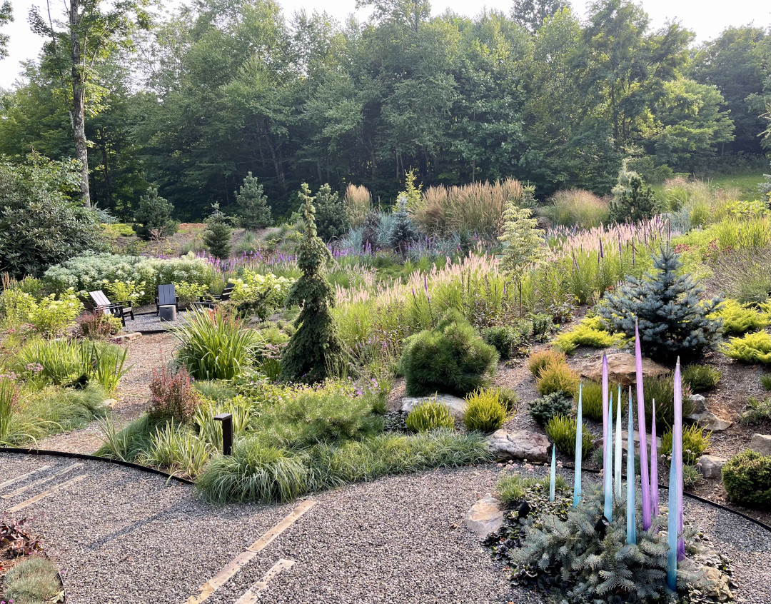 mountain garden with lots of conifers in summer