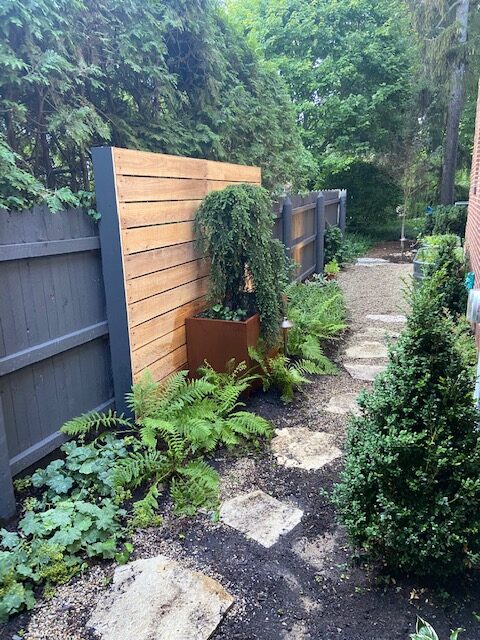 narrow side garden with lots of foliage plants