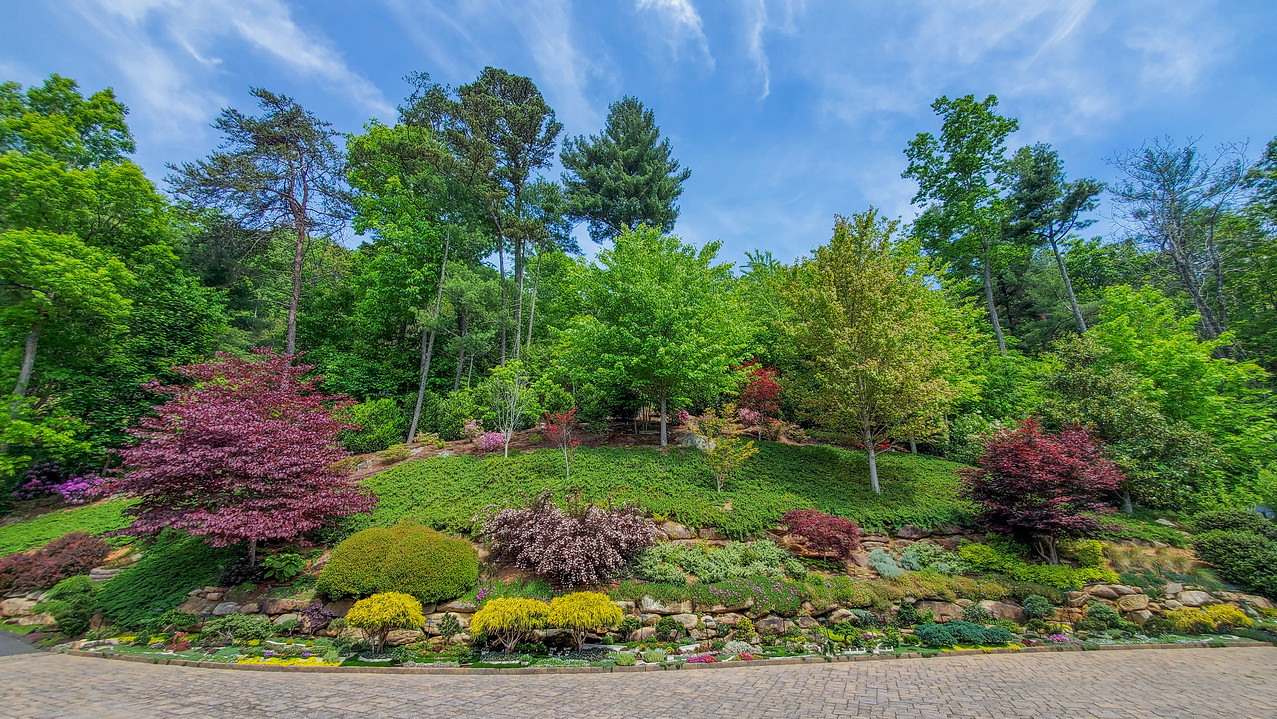 slope after landscaping and new plants