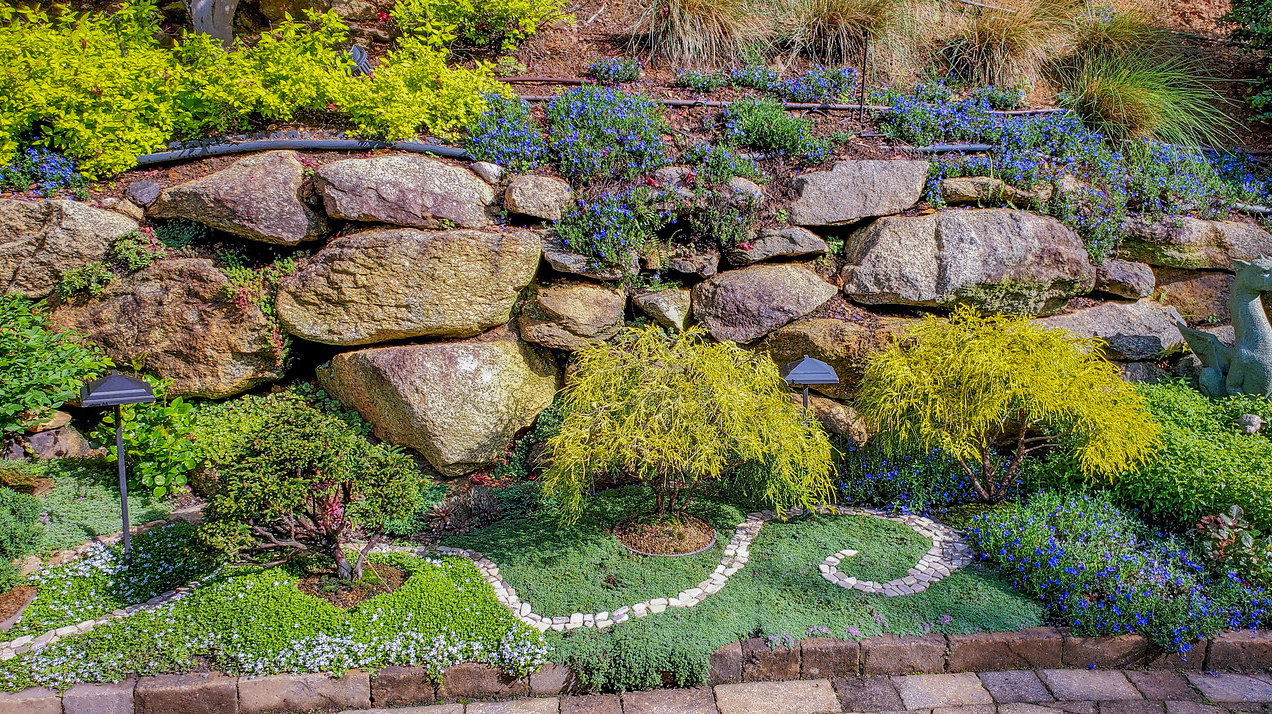 mini garden with mini path winding through bonsai trees