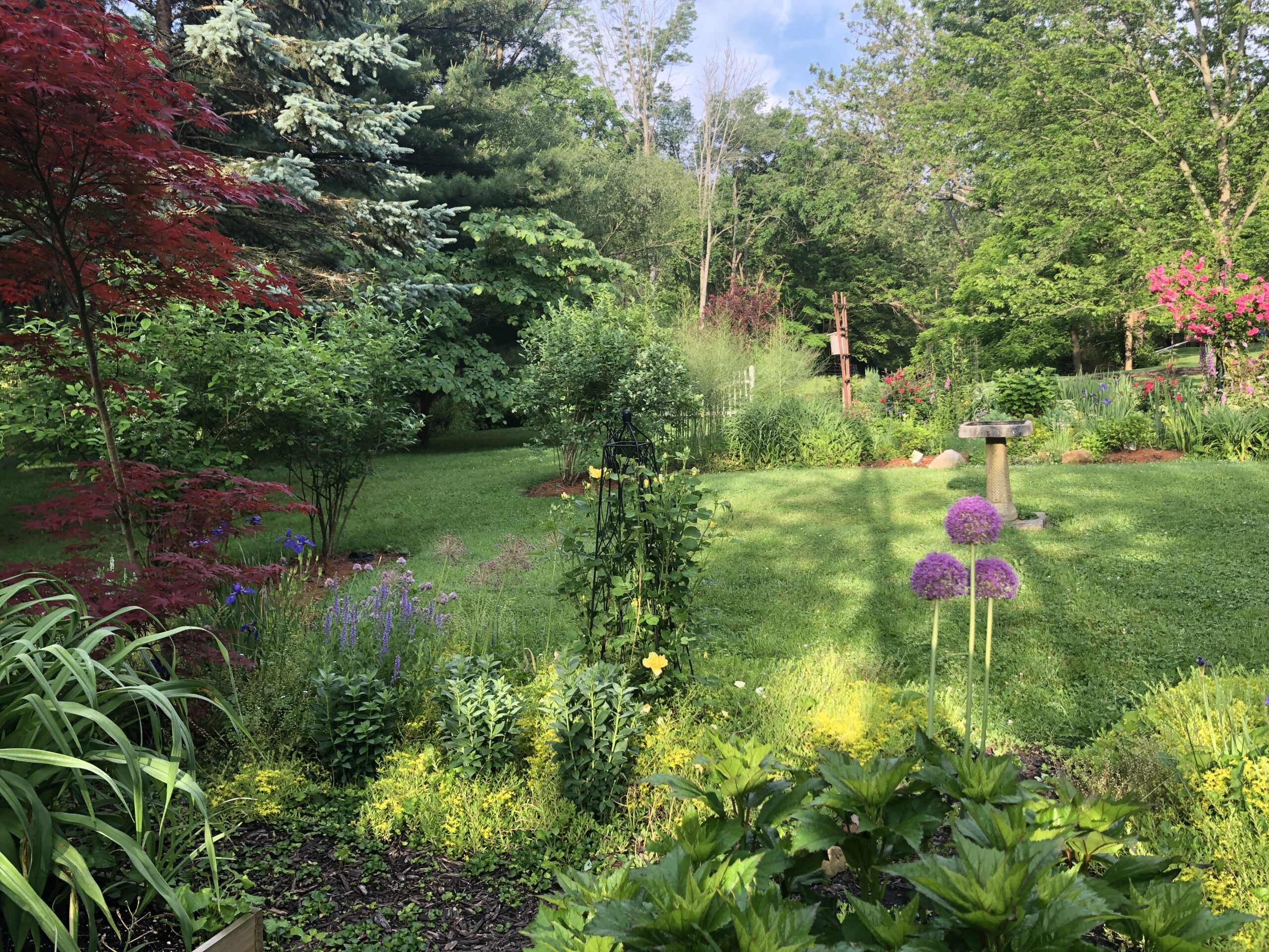 early summer garden