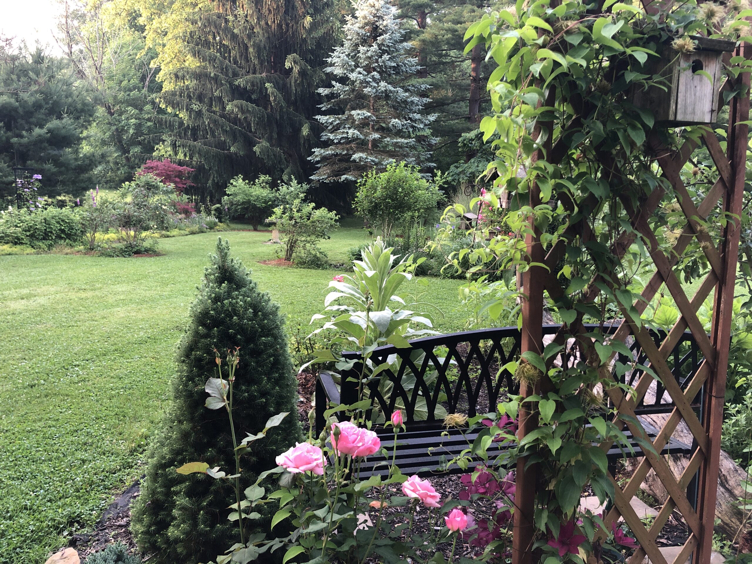 bench looking out to the rest of the garden