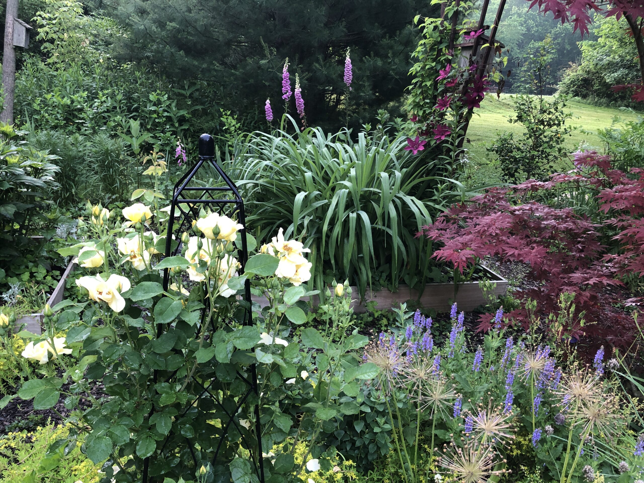 various flowers growing in front of a large tree