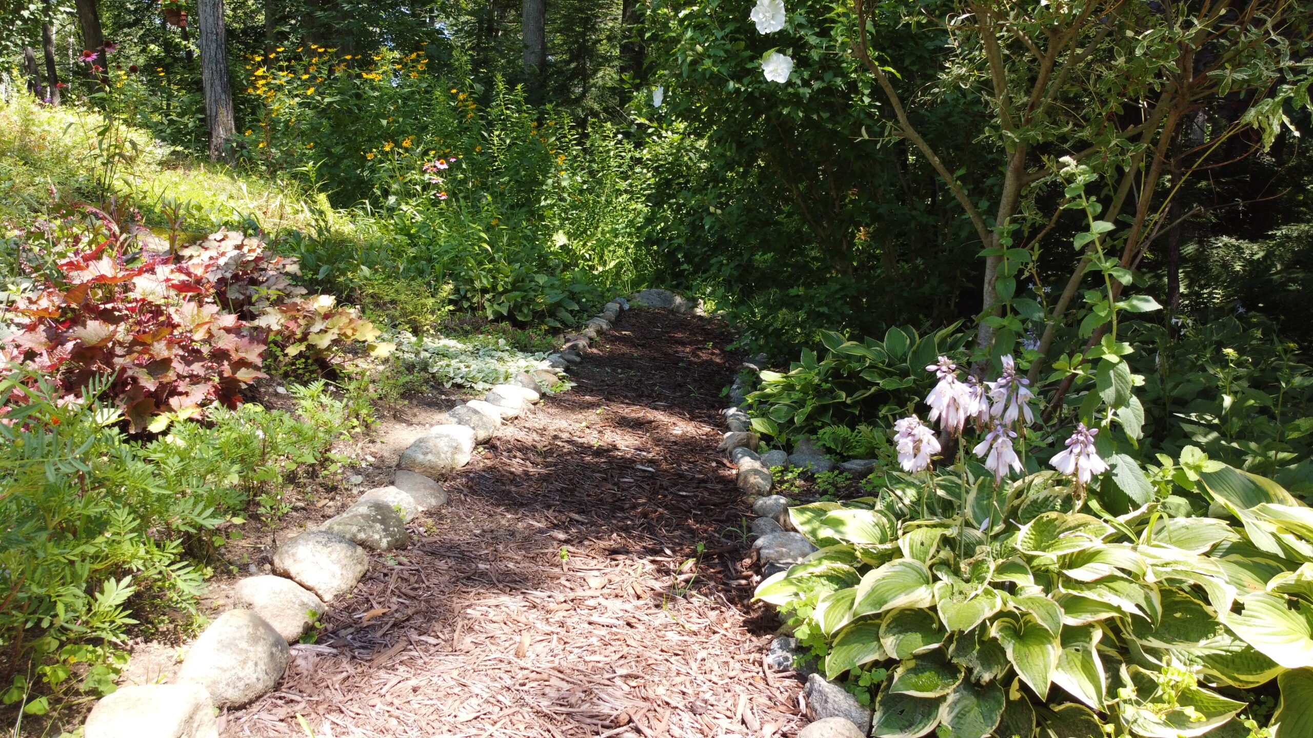 path leading into a shade garden