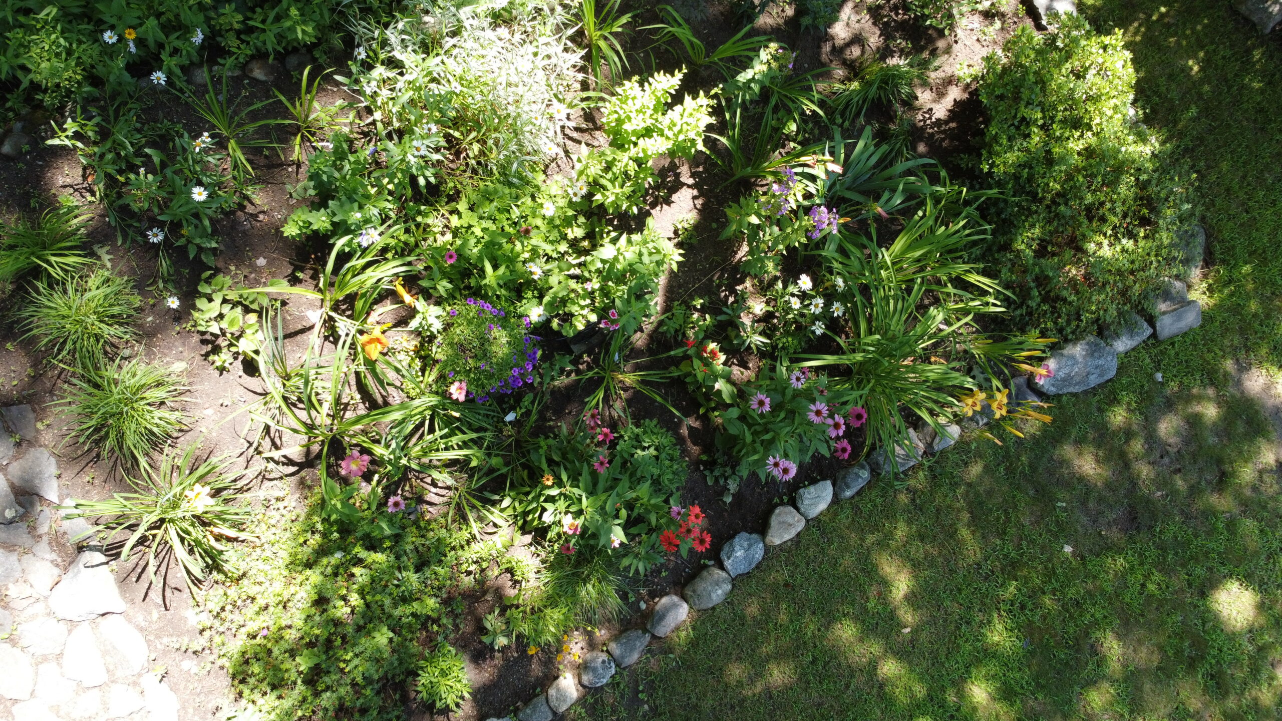 view of the shade garden from above