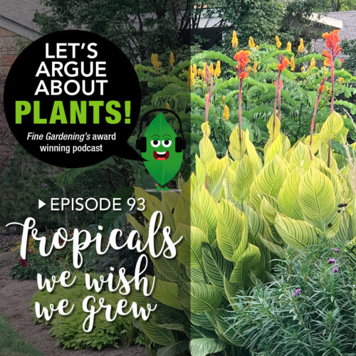 Episode 93: Tropicals We Wish We Grew